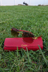 Premier Sunglasses 19004 | With Premium Case