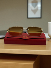 Premier Sunglasses 12005 | With Premium Case