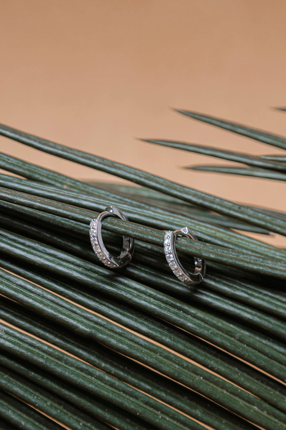 Round   925 Sterling Silver 0.27Carat Half Iced Out Moissanite Earrings Secondary image